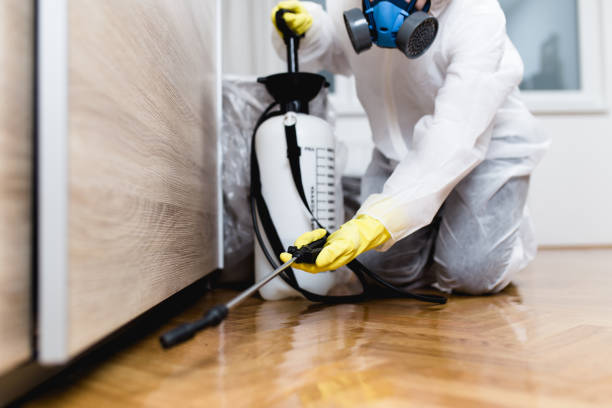 Best Flea Control Services  in Milton, GA
