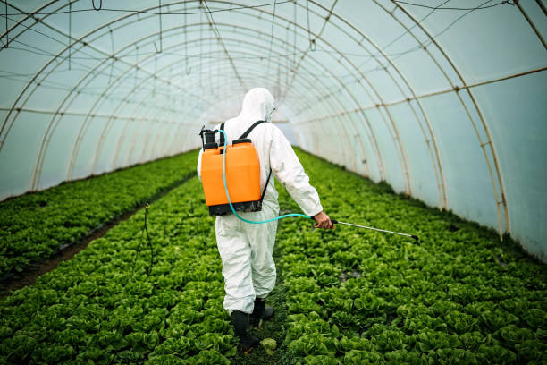 Best Affordable Pest Control Services  in Milton, GA