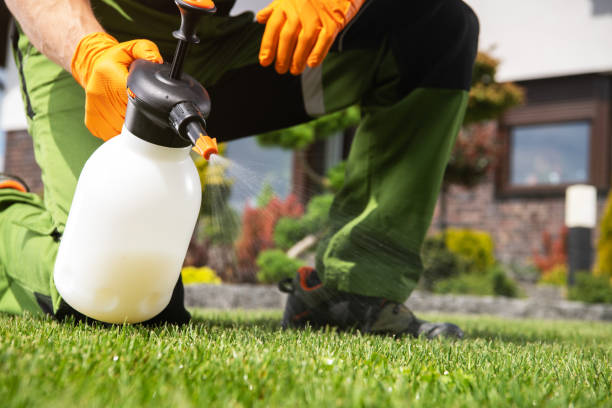 Best Bed Bug Extermination  in Milton, GA