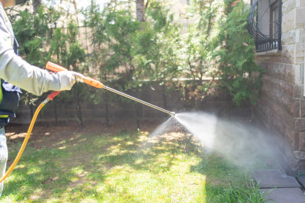 Best Bird Control  in Milton, GA