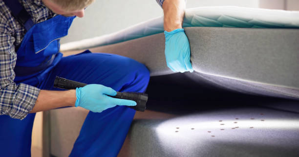 Best Insect Control  in Milton, GA