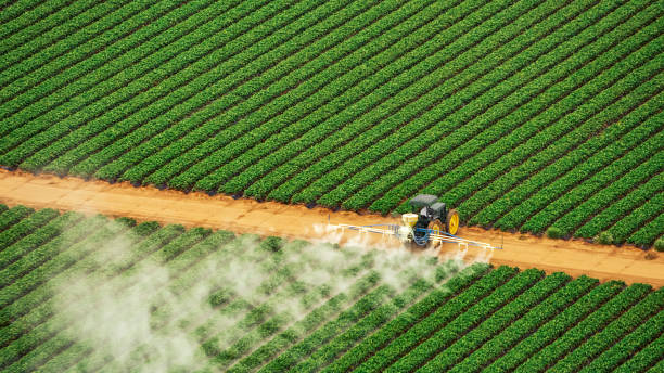 Best Pest Removal Services  in Milton, GA