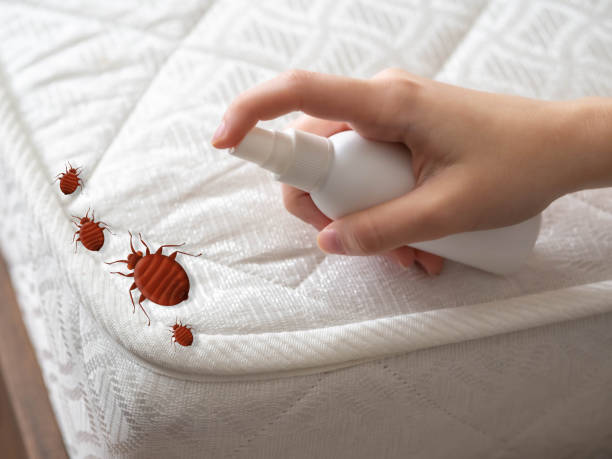 Best Emergency Pest Control  in Milton, GA