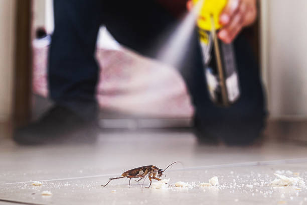 Best Best Pest Control Companies  in Milton, GA