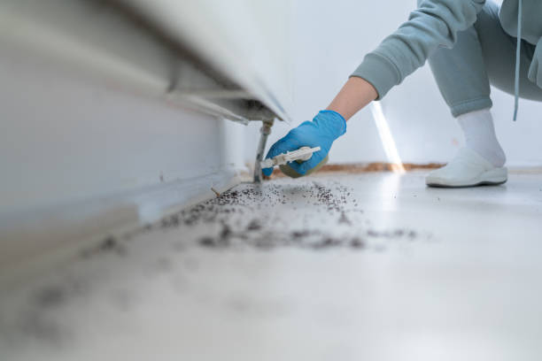 Best Rat Extermination Near Me  in Milton, GA